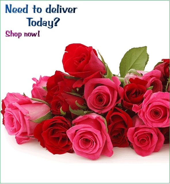Send roses to Sri Lanka